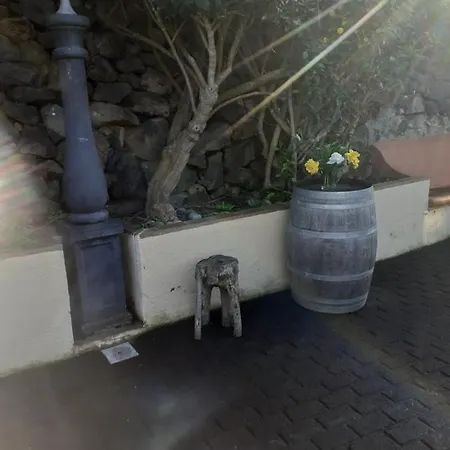 Rincon El Llano ホテル *